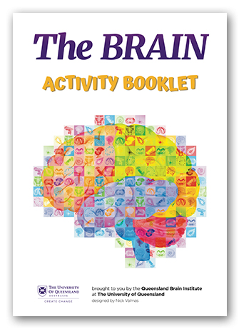 QBI Brain activity book