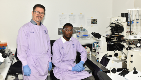 Fatty acids hold clue to creating memories Queensland Brain Institute Fatty acids hold clue to creating memories Queensland Brain Institute