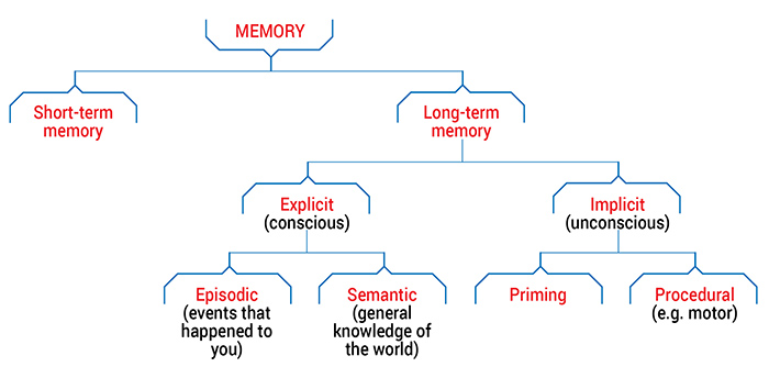 Types of memory - Queensland Brain Institute - University of Queensland