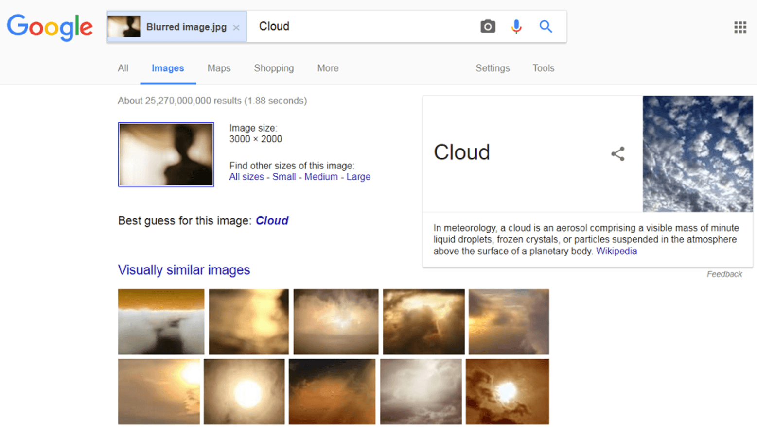 Google screenshot