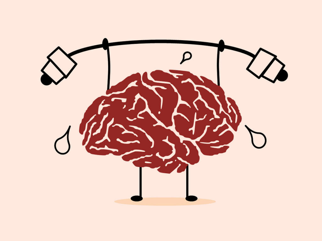 Training and stimulation improves brain performance - Queensland Brain  Institute - University of Queensland
