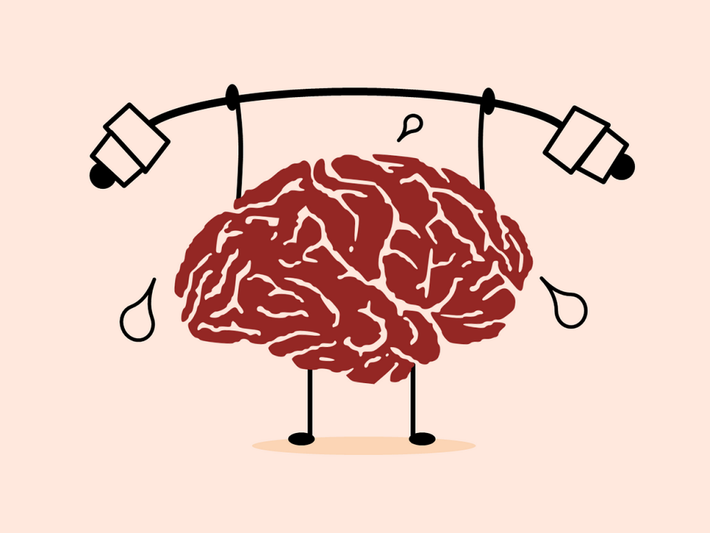 https://qbi.uq.edu.au/files/25857/Brain-training_brain-stimulation_QBI-UQ.png