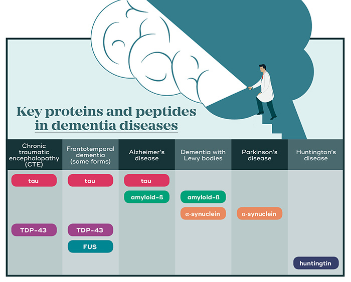 key protein deposits in dementia