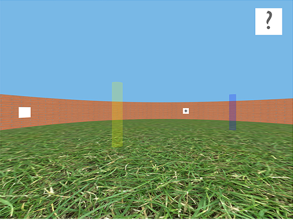 A perception test that researchers used to look at place cells in the hippocampus