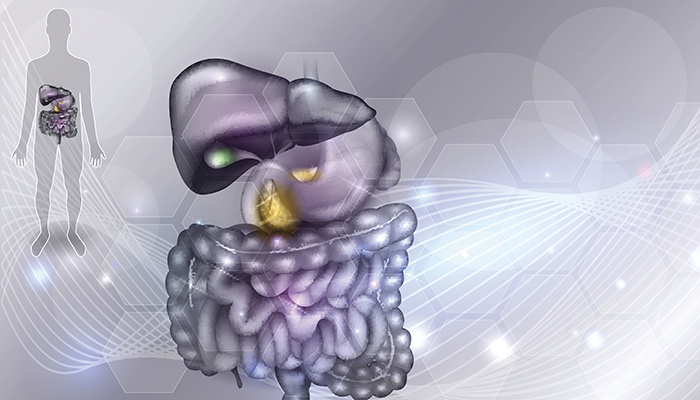 Enteric nervous system - Queensland Brain Institute - University of