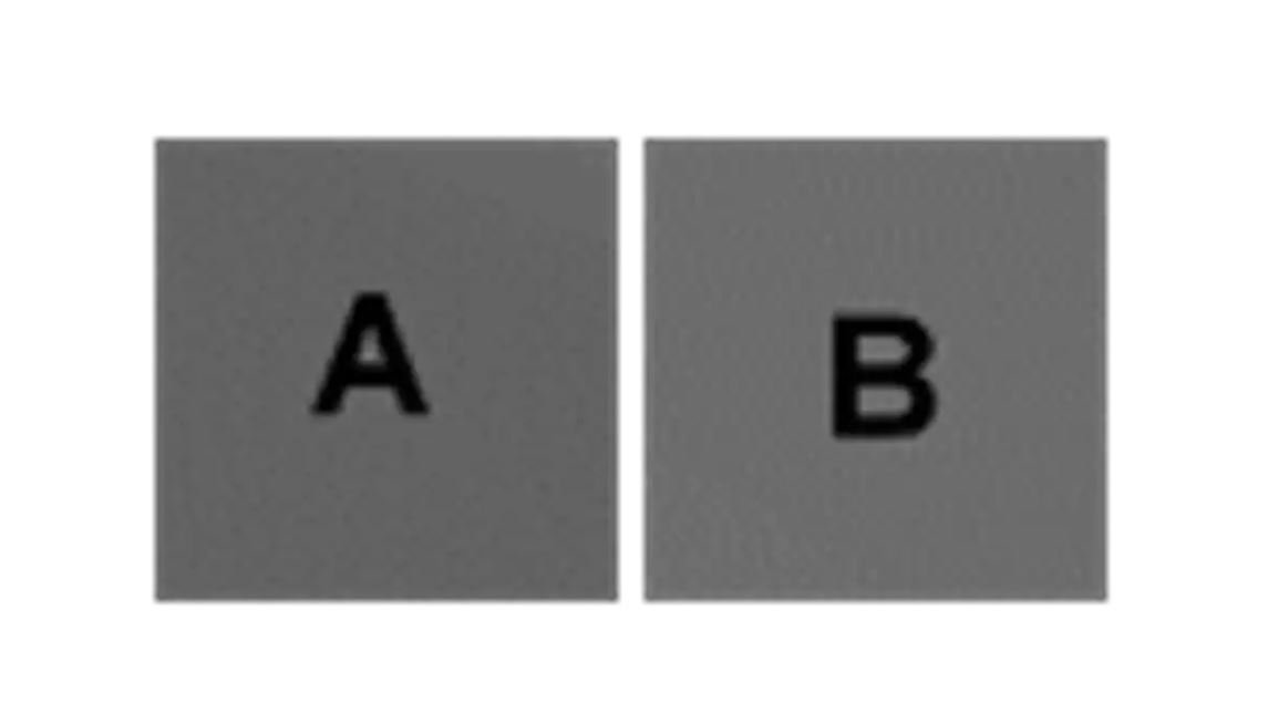 How Does the Human Eye Interpret Optical Illusions?