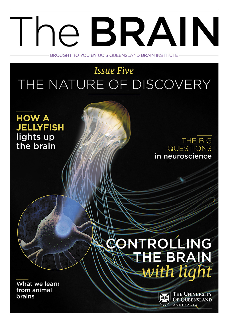 The Brain Nature of Discovery pdf QBI