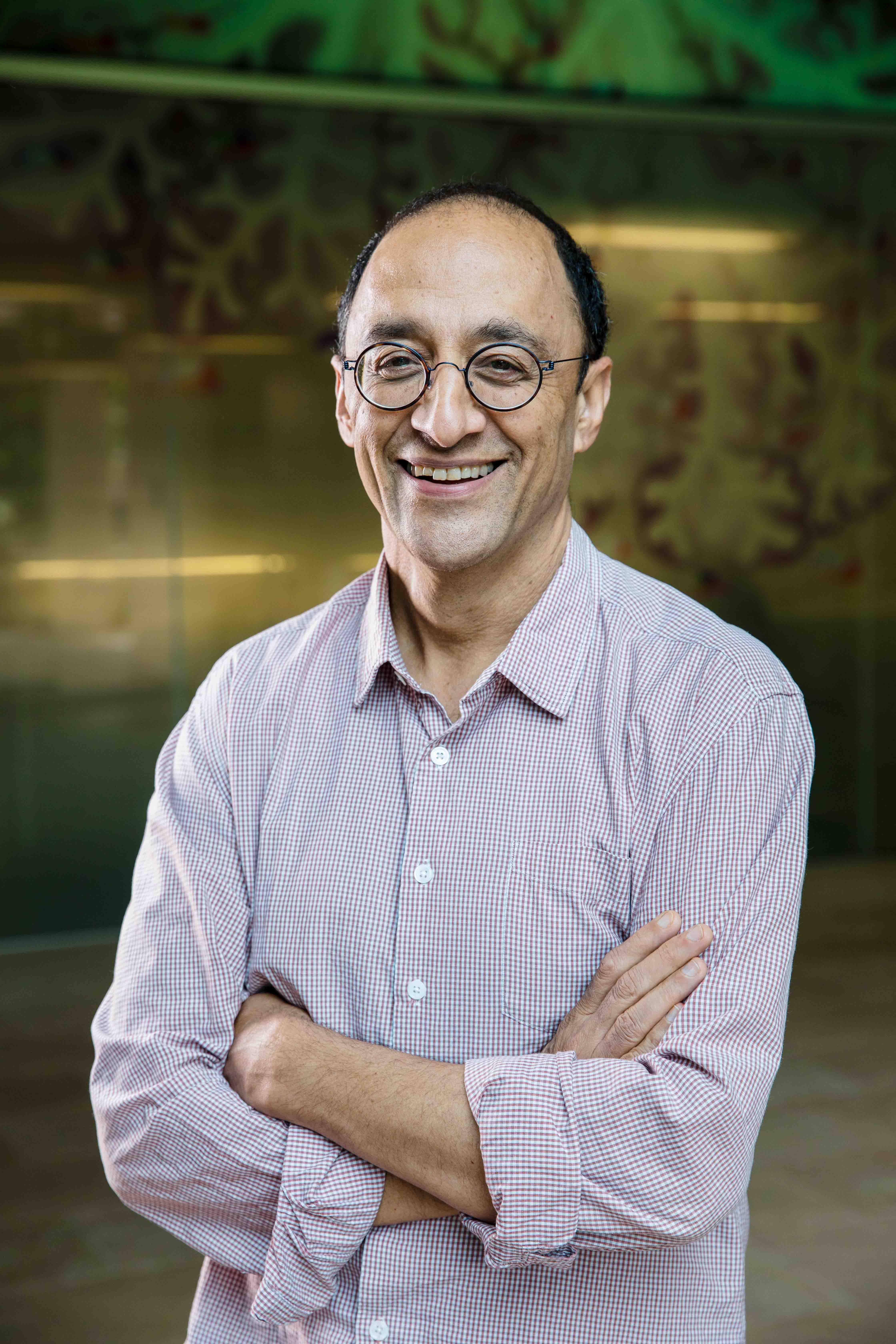 Professor Pankaj Sah - UQ Researchers