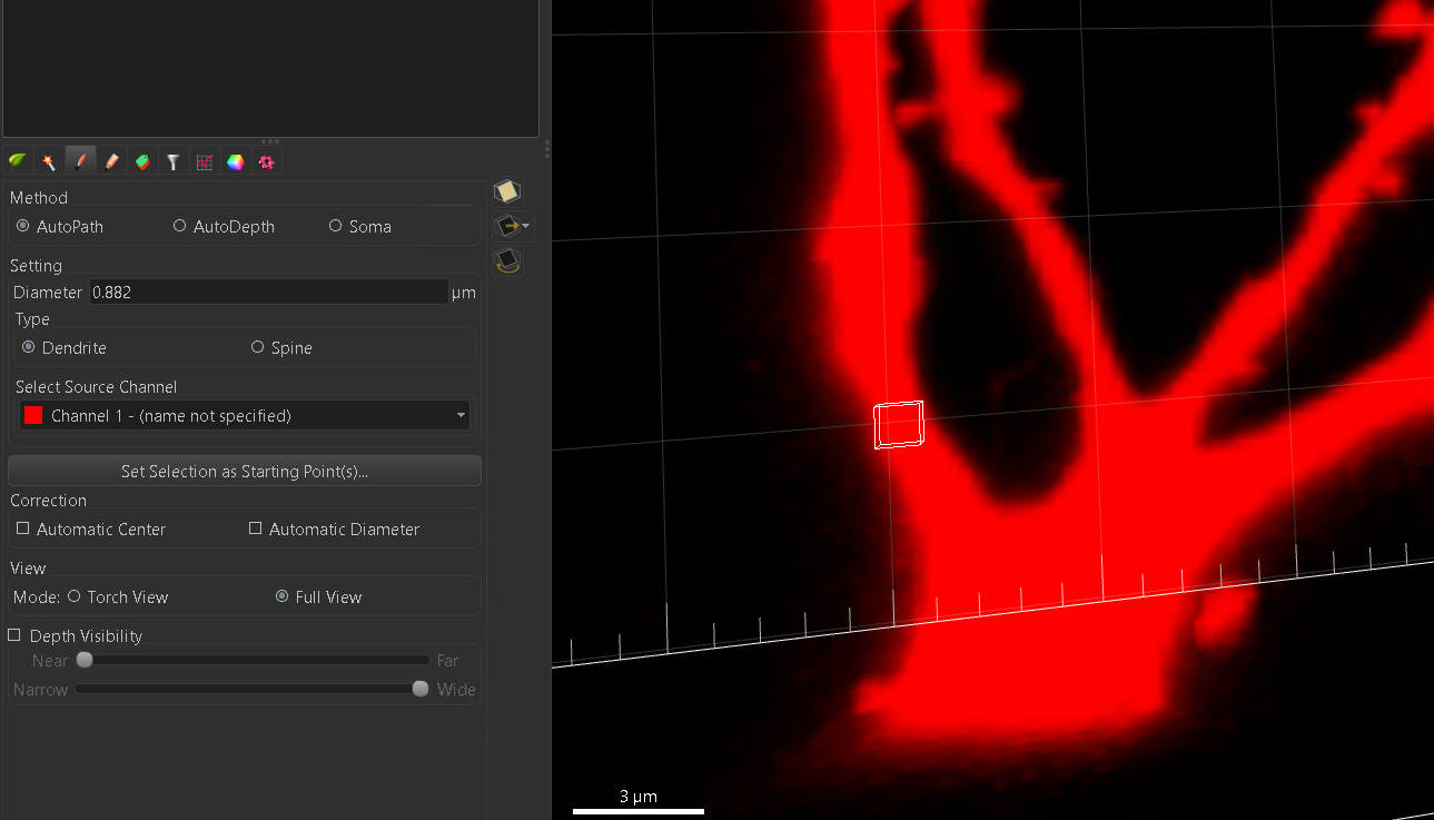 download imaris filament tracker mac free