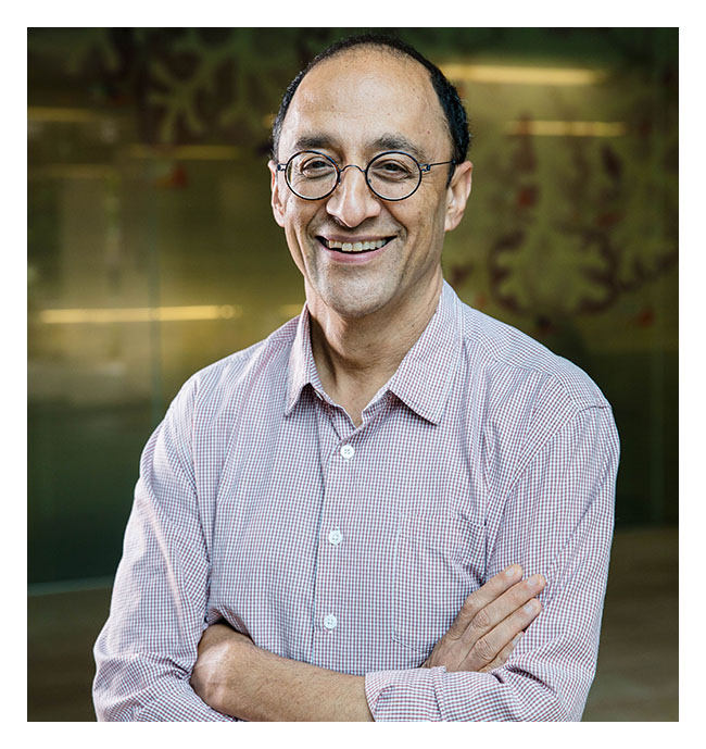 Professor Pankaj Sah - UQ Researchers