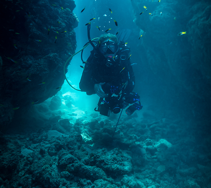 Ocean To Outback: Brain Student Combines Love Of Reef And Education ...