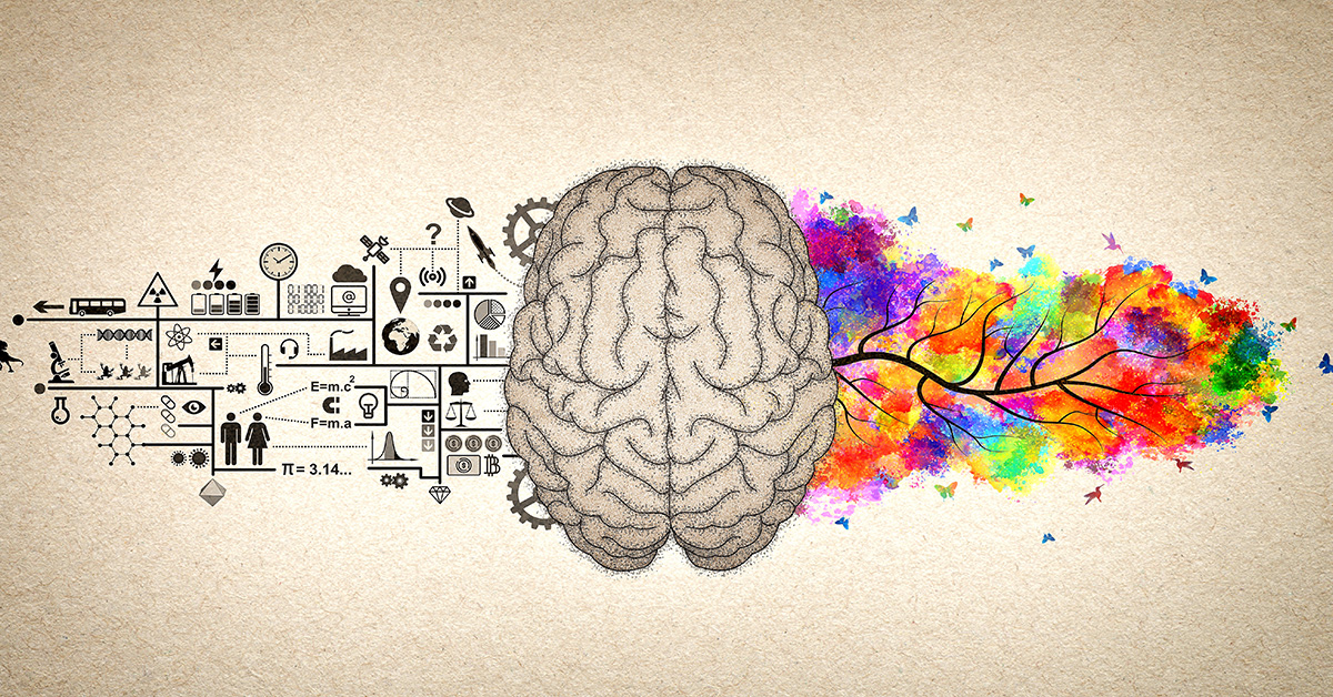 97 brain. Мозг и творчество. Два полушария мозга. Раскраска креативный мозг человека. Мозг Сток.