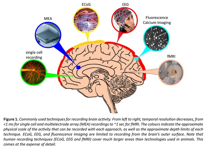 Scientists discover how our brains track where we and others go