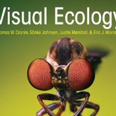A book on visual science co-authored by a researcher at QBI has picked up an international award and rave reviews.
