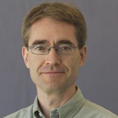 Researchers have crunched the numbers and calculated the physical limit of accuracy at which our cells can detect concentrations of substances in their environment.