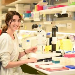 Potential future neuroscientists will be tested on their knowledge of Alzheimer’s disease, stroke, emotions, sleep and memory at the Queensland Australian Brain Bee Challenge (ABBC) final at the Queensland Brain Institute next week.