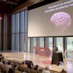 The Mathematics Of Intelligence