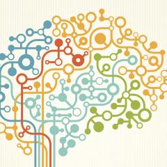 More flexibility in brain networks helps you solve harder puzzles