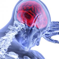 Stroke disrupts cognition and behaviour in nearly everyone who suffers one, affecting abilities such as talking, memory and vision.