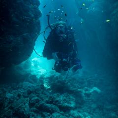 PhD student Abigail Shaughnessy is following her two career passions: the ocean and education.