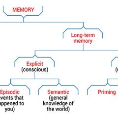 Types of memory