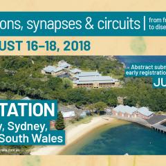 Neurons, synapses & circuits - from function to disease