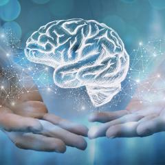 A panel of researchers explore the science of depression and anxiety, and how it can be better managed in the workplace.