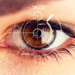 Human vision