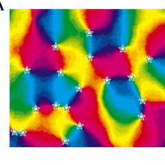 Visual perception
