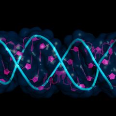 RNA modification for plastic fear memories