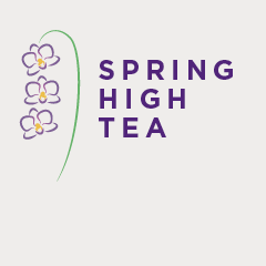 QBI and Lexus Brisbane Spring High Tea