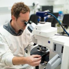 The $2.5 million Stafford Fox Senior Research Fellowship funds Dr Steven Zuryn's research into stroke-induced dementia at QBI