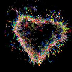 Best neuroscience images of 2017