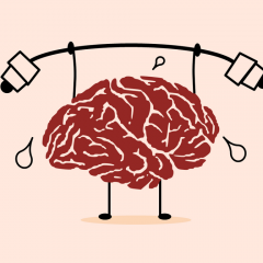 Brain stimulation may improve the general benefits of brain training by increasing our ability to process information.