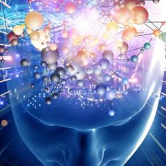 Tiny molecule has big effect on brain’s ability to learn  