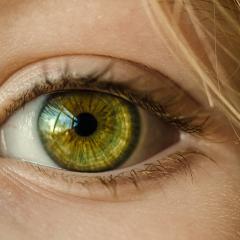 QBI researchers shed light on how our eyes process visual cues
