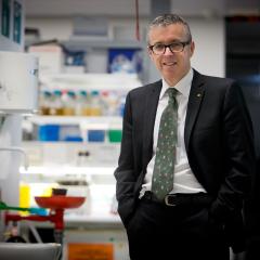 International psychiatry award puts QBI researcher among world's best