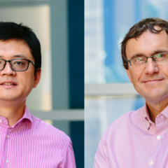 Professor Peter Visscher and Professor Jian Yang have had their work recognised by prestigious funding from the ARC.