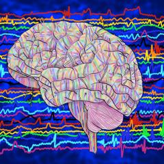 Oscillations in brain activity influence how well we perceive objects in both expected and unexpected locations.