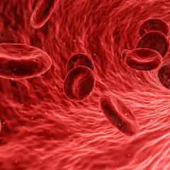 Blood clues tell of gene targets for brain diseases