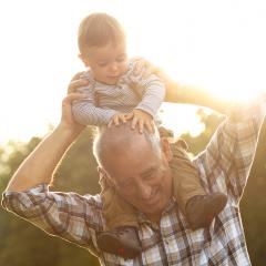 Research from the University of Queensland has linked low levels of vitamin D and the size of a part of the brain crucial to memory formation.