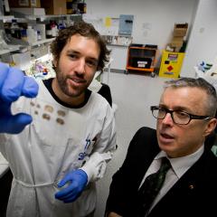 Dr James Kesby and Professor John McGrath have won international awards for their work advancing our understanding of schizophrenia.