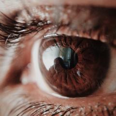Researchers at the University of Queensland have confirmed the existence of an elusive pathway in the brain that enables some blind people to detect and respond to visual stimuli they do not ‘see’.