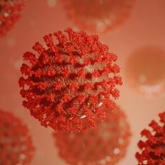 Genome sequence provides infectious pathway for COVID 