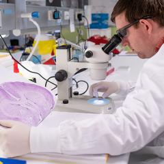 Queensland Brain Researchers broke new ground and helped progress discoveries in their search to understand the brain.