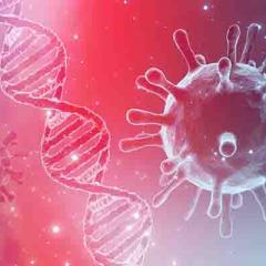 COVID virus and DNA strand