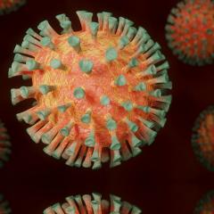 A national grant will help researchers study the long-term effects of COVID-19 on the brain with the ultimate goal of blocking the infection.