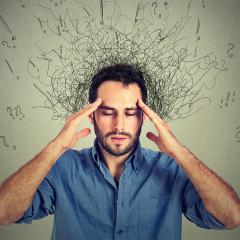 Saturated fatty acids have emerged as key players in forming memories