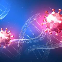 DNA and virus