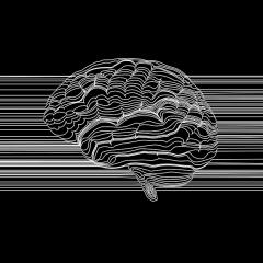 PhD student Angela Renton took top honours in the 2020 QBI Art In Neuroscience competition.